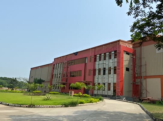 allana-6