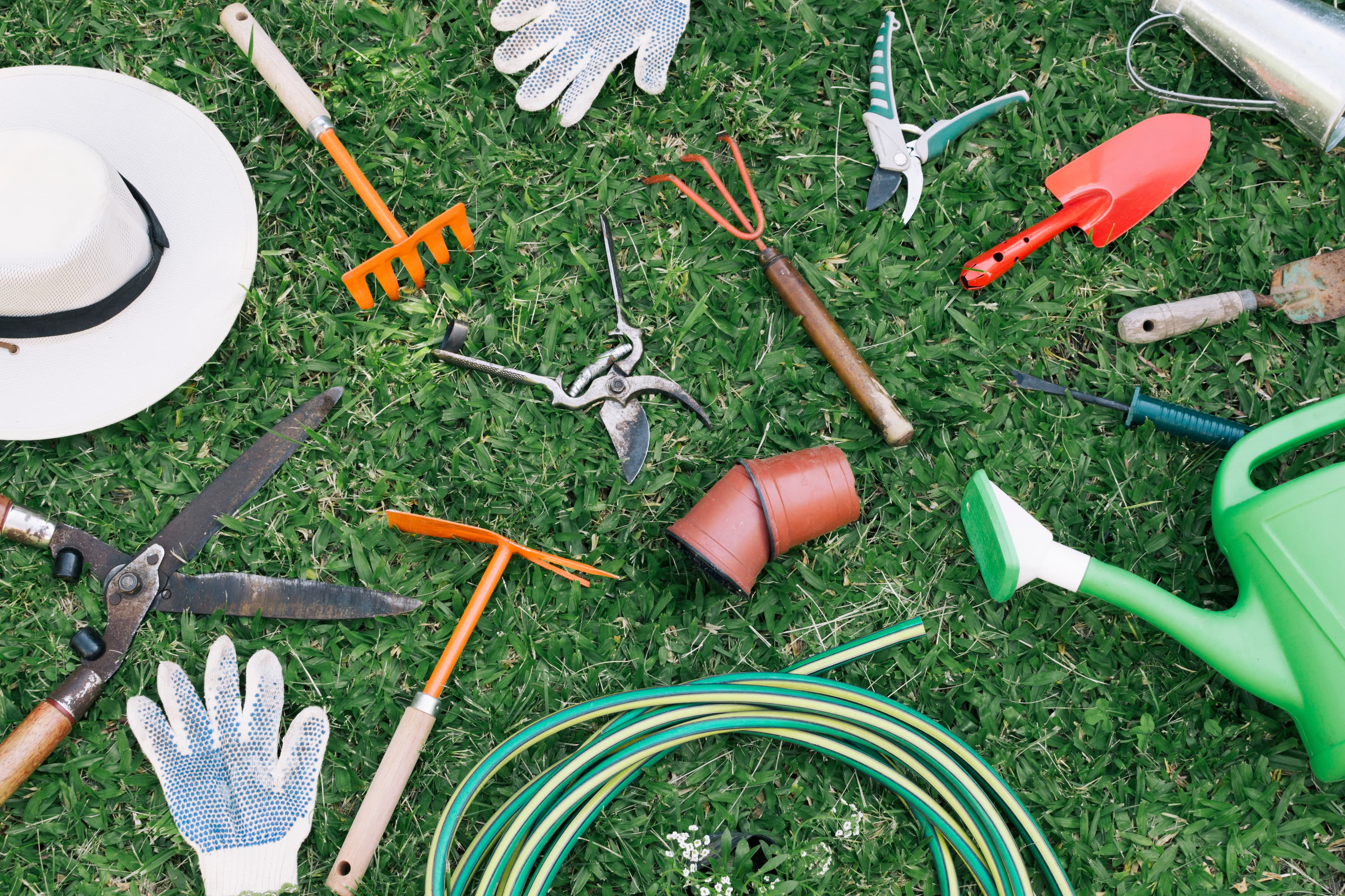 Expert development and maintenance of gardens, parks, and ornamental spaces.